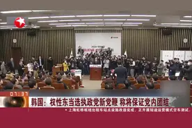 韩国：权性东当选执政党新党鞭 称将保证党内团结视频封面