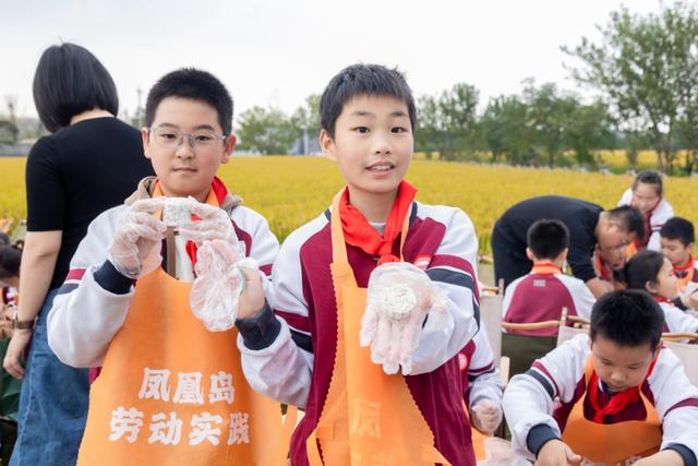 美哭！扬州稻田绝美秋景别错过～