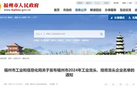 福州市2024年工业龙头、培育龙头企业名单公布图片