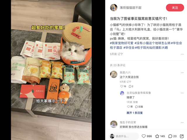 许愿：今年过的是哄自己开心的春节。