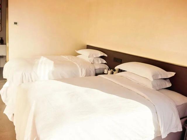 万鸟齐舞！北京这里成“候鸟天堂”，还有专属礼遇——