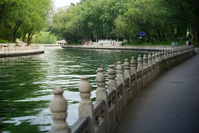 颐和园⇋动物园水岸联通，行走中感受流动的京城画卷