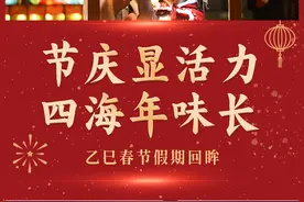 节庆显活力 四海年味长——乙巳春节假期回眸图片