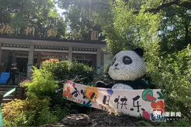 可爱到膨胀的“女明星”要过生日！很多粉丝提前去看，她却摆起架子图片