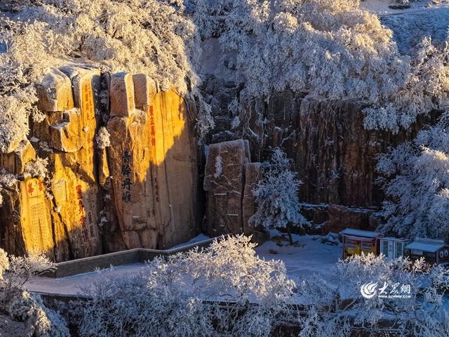 霜峰染金辉 泰山冬日沐暖阳