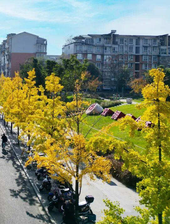 赶紧拍照去！龙泉驿出片指南来了→