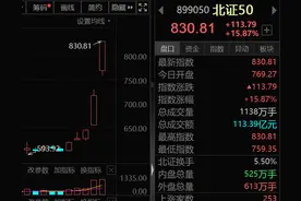 0下跌！历史罕见！大肉签来了，单签赚超10万元！图片