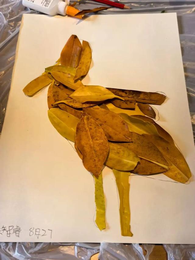 东寨港红树林研学进行时，自然课堂里的欢乐时光～