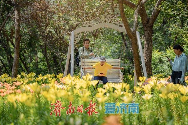 一年四季 泉在济南丨盛夏七月，济南红叶谷景区百合花迎来最佳观赏期
