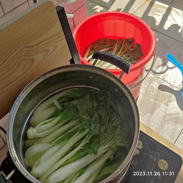 五毛一斤的便宜菜，还能补钙！多做一步比肉还香，懂行的都十斤十斤买