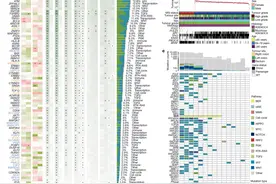 全球最大规模结直肠癌多组学研究成果发布图片