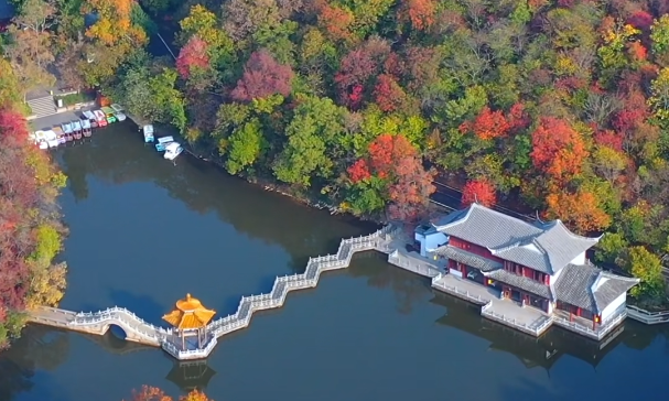 又到周末！来一场邂逅惊喜的冬日Citywalk