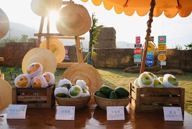 一批冬季旅游新线路、新产品亮相 “安逸四川·仁和之冬”文化和旅游宣传活动举行