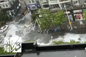 上海马路上飘白沫？画风惊人！这到底是啥图片