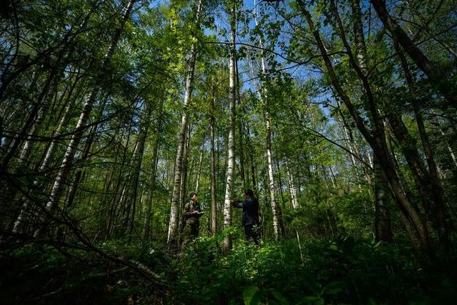 践行“两山”理念 守护东北“水塔”——解码美丽中国的“长白山名片”