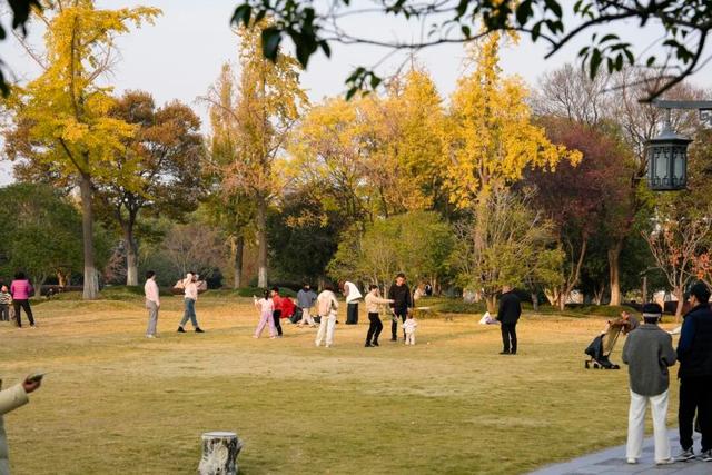出片率100%！海陵“含金量”在上升！