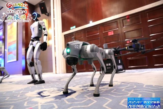 创变赋能·质领未来——改革创新激活文旅新质生产力！2025年广西文化旅游改革创新交流活动在防城港举办