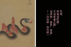 重磅生肖蛇票，都在这一盒中！图片