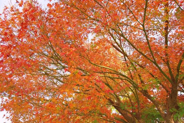 在千岛湖，这5公里要慢行！