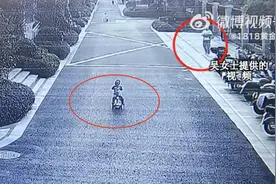 2岁男童小区内遭碾压离世，监护人不服责任认定！图片