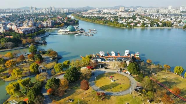 正是银杏金黄时！泰晤士小镇入选市级旅游休闲街区，快来打卡