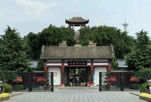 救命！被陕D“拿捏”了！
