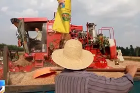 又美又飒！95后美甲师化身田间农机手图片