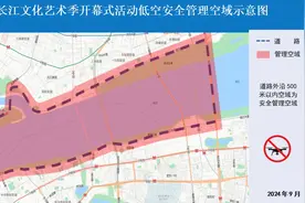 武汉这些地方禁飞！图片