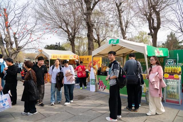 历下呈祥 马年纳福丨大明湖新春庙会解锁泉城新春民俗盛宴