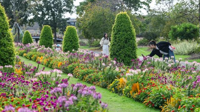 辰山植物园秋意正浓，快去欣赏这份限定秋日画卷