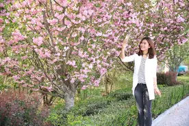 赏花攻略发布！泰山区的春天必须有你图片