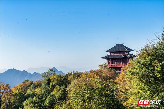 【每日一图@湖南】张家界暖冬限定！天子山暖阳沐峰林