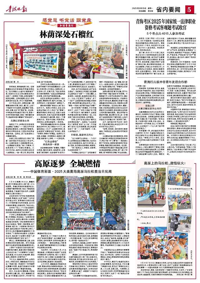 青海行共筑中非青年友谊合作桥