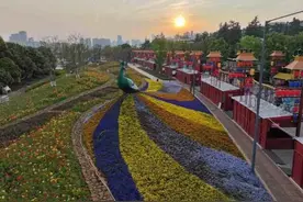 春有约，花不误！来昆明世博园“走花路”图片