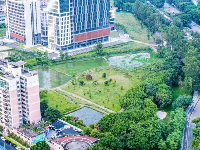 运动、遛娃、拍照全安排！东莞人“家门口”又上新了