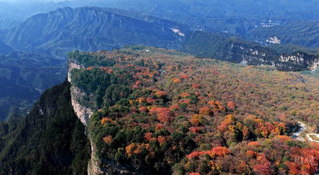 组图 | 是时候啦！旺苍彩林有“亿点点”美