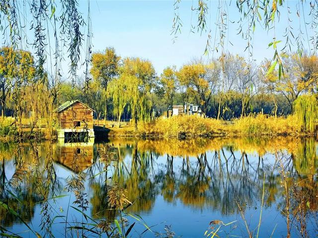 一键Get√氛围感！来这里，将海淀的秋收在镜头中——