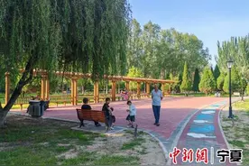 银川西夏区：见缝插绿、见缝插景、见缝插园 让市民“转角遇见美”图片
