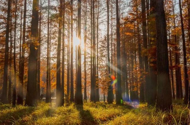 去荆门，撞进秋天怀里！