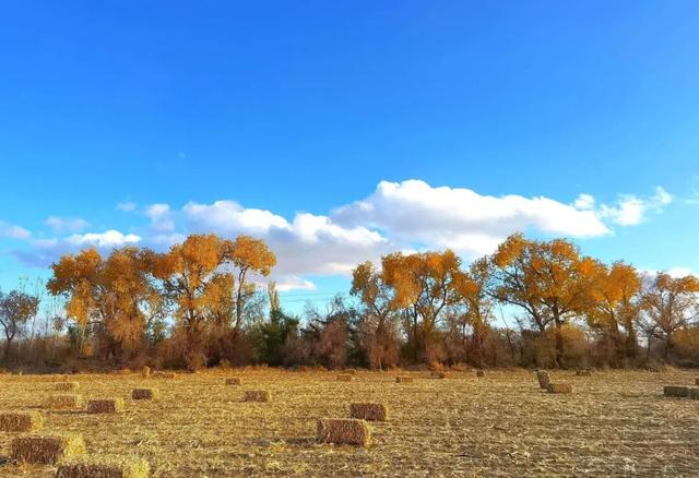 【央媒聚焦丨学习强国】生态中国·幸福画卷丨乌尔禾的云