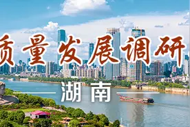 高质量发展调研行丨油茶产业向新：“一滴油”如何撑起致富伞图片