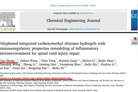 脊髓损伤治疗新进展！滨州市人民医院张玉奇以第一作者在SCI高水平期刊发表研究论文图片