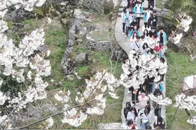 不上课就补课? “周末双休”撞上“升学焦虑”图片