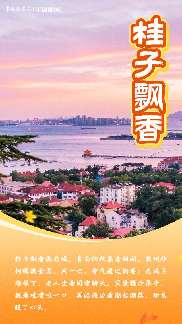 这里是青岛｜青岛秋味，藏在这些成语里