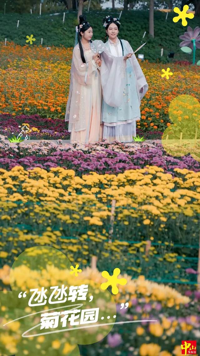 专属中山的限定浪漫花海来了！购票全攻略→