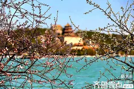 春日有约|北京颐和园:初春风光醉人心图片
