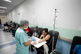 2024年巴西登革热死亡病例超4400例图片