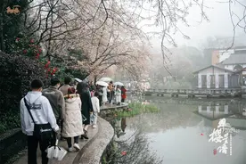 樱花绽放邀你打卡春天 长沙市望月公园“早樱星语”活动举行图片