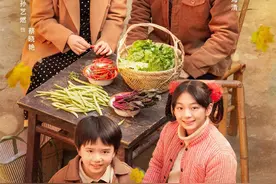 《家里家外》：一部川味短剧勇闯年代剧赛道，又爽又温情图片
