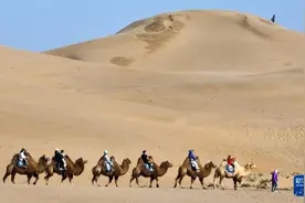 库布其沙漠增绿引游人图片